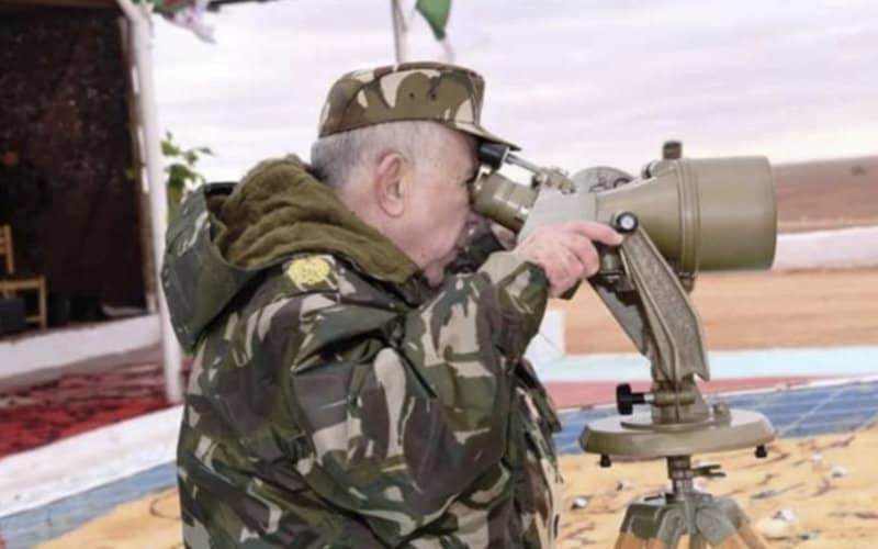 Experts Warn of Potential Low-Intensity Conflict Between Algeria and Morocco