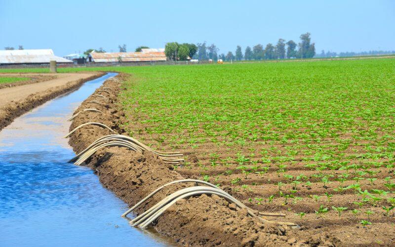 AfDB Approves $120 Million Loan for Morocco's Green Agriculture Initiative