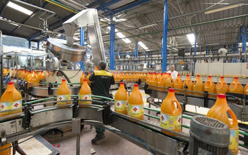 Moroccan Industrial Sector Forecasts Sales Growth Amid Economic Optimism