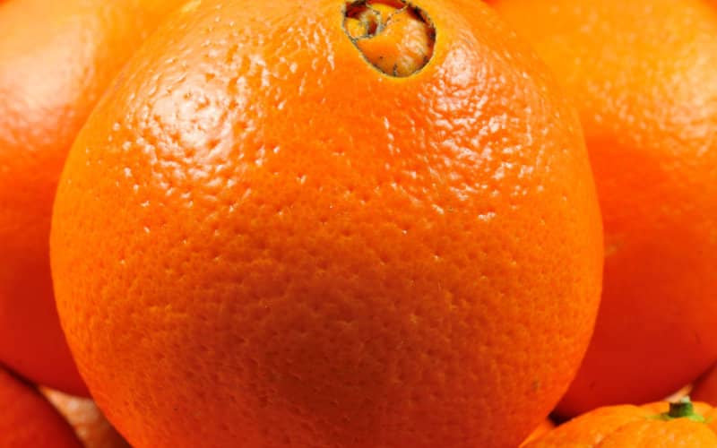 Morocco Boosts Navel Orange Production to Rival Spanish Market
