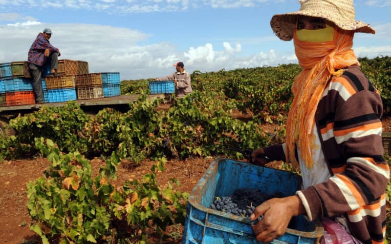 Azores High Pressure System Drives Drought in Morocco and Southern Europe