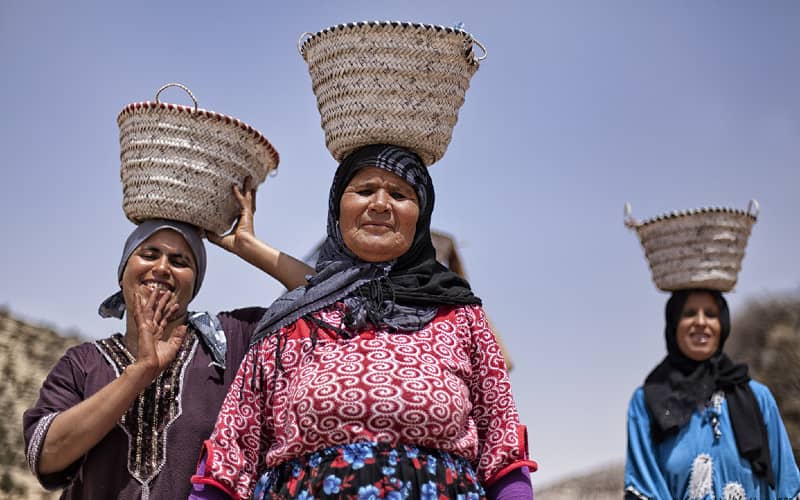 Report: Morocco's Female Employment Rate Lags Behind Global Average