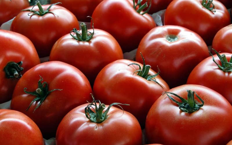 Rising Gas Prices May Shift French Consumers to Moroccan Tomatoes