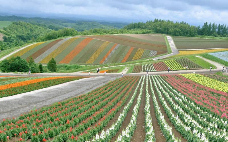 Japan Diversifies Fertilizer Supply, Imports Moroccan Phosphate Amid Global Shortages