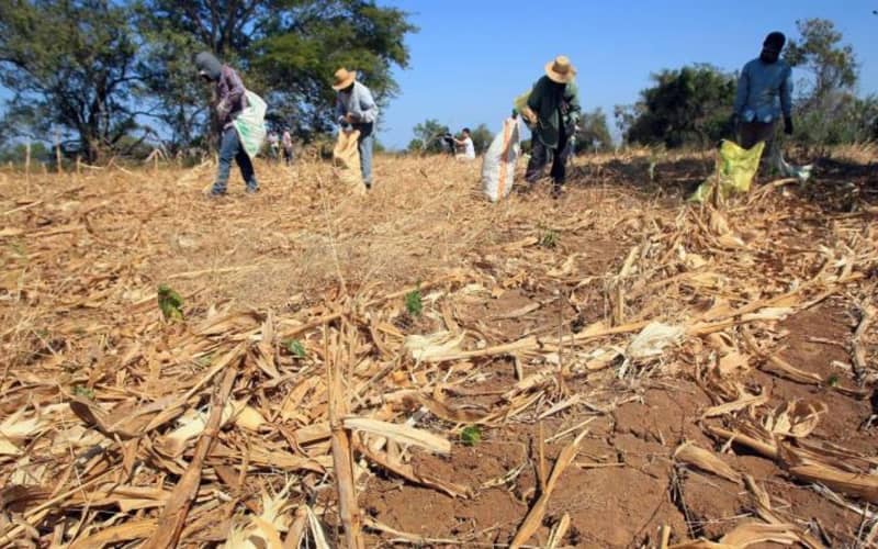 Morocco Faces Extreme Water Scarcity Risk by 2040, Report Warns