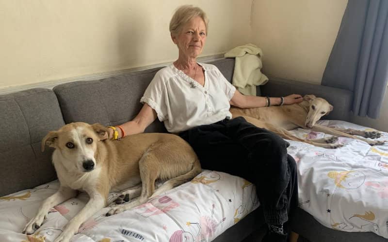 Retired Educator Rescues Moroccan Stray Dog from Culling, Gives New Life in France