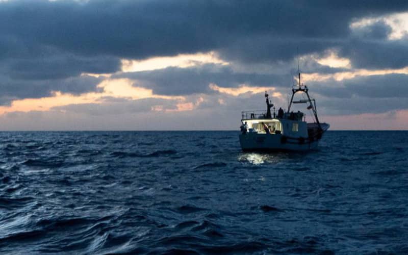 Spanish Fishing Fleet Retreats from Moroccan Waters as Profits Plummet