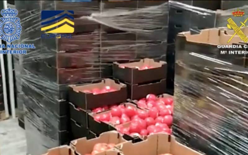 Massive Drug Bust: 29 Tons of Cocaine and Hashish Seized in Spanish Port