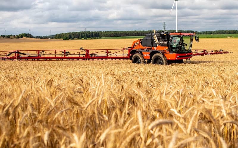 Morocco Diversifies Cereal Imports from South America Amid Global Market Tensions