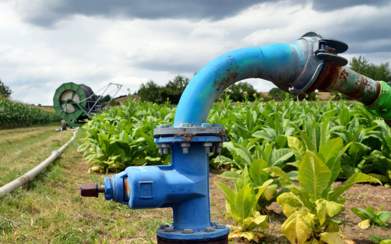 Authorities Seize Illegal Pumps Used for Wastewater Irrigation Near Casablanca