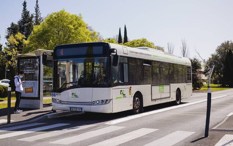 Avignon Braces for Transit Disruptions Ahead of Morocco-Spain World Cup Match