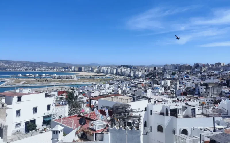 Belgium Morocco rental income tax declaration guide