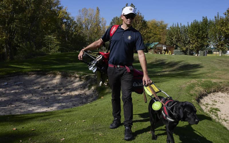 Blind Golfer Dragged by Car After Driver Refuses Guide Dog in Madrid