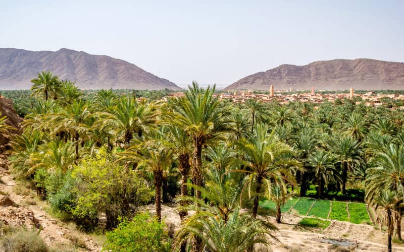 Border Dispute Escalates as Algeria Evicts Moroccan Farmers from Contested Oasis