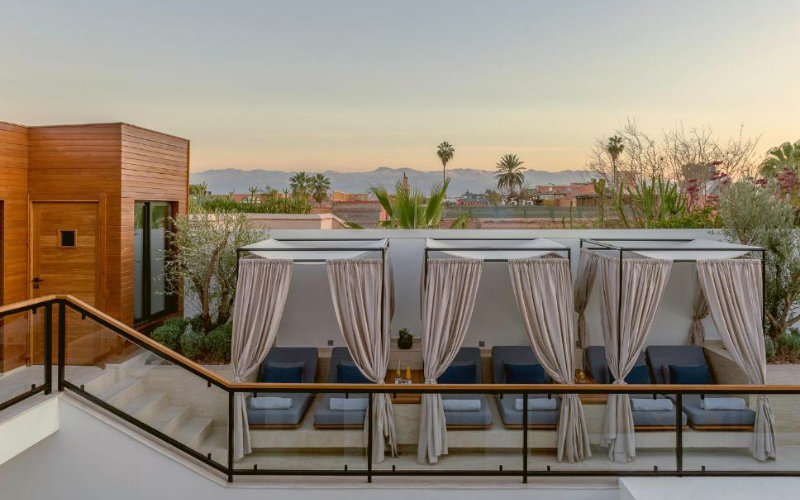 Brain Drain: Belgian-Moroccan Professionals Relocate to Morocco's Major Cities