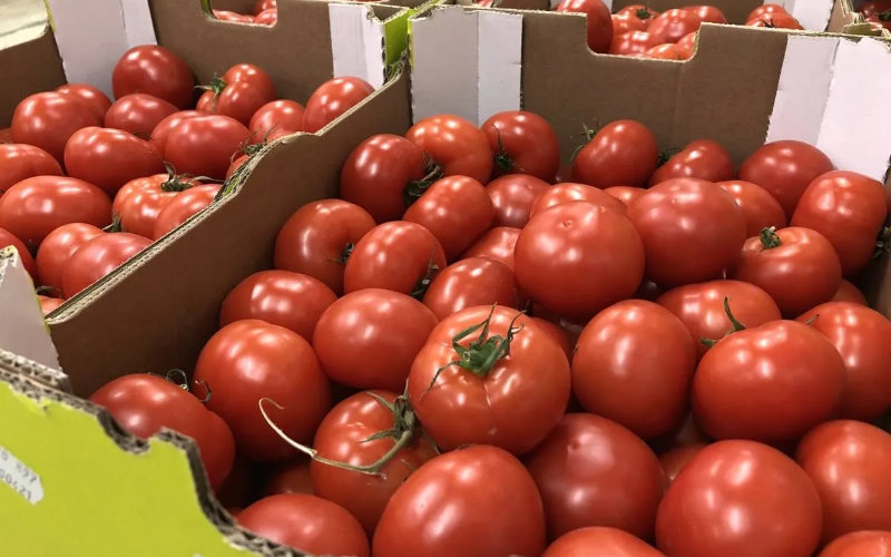 Breton Farmers Protest Moroccan Tomato Imports, Demand Clearer Labeling