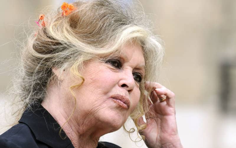 Brigitte Bardot Slams Animal Cruelty Ahead of Eid al-Adha Festival