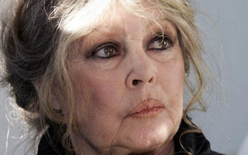 Brigitte Bardot Urges FIFA to Disqualify Morocco Over Alleged Stray Dog Culling