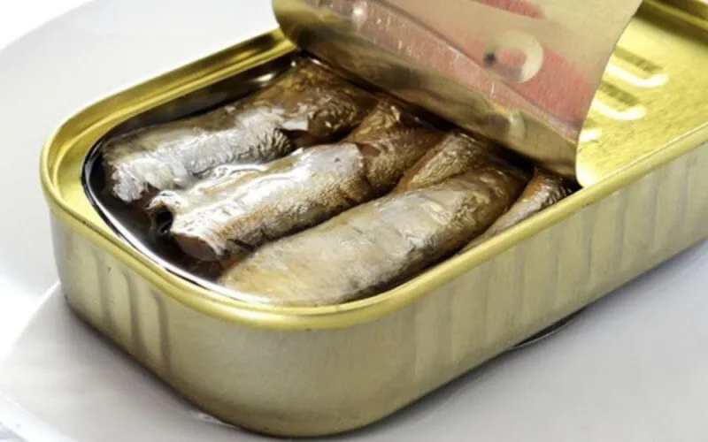 Canned Sardines: Morocco Floods the World with 15,000 Tons and Crushes the Competition