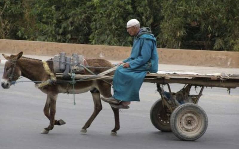 Casablanca Cracks Down on Street Carts, Citing Traffic Concerns