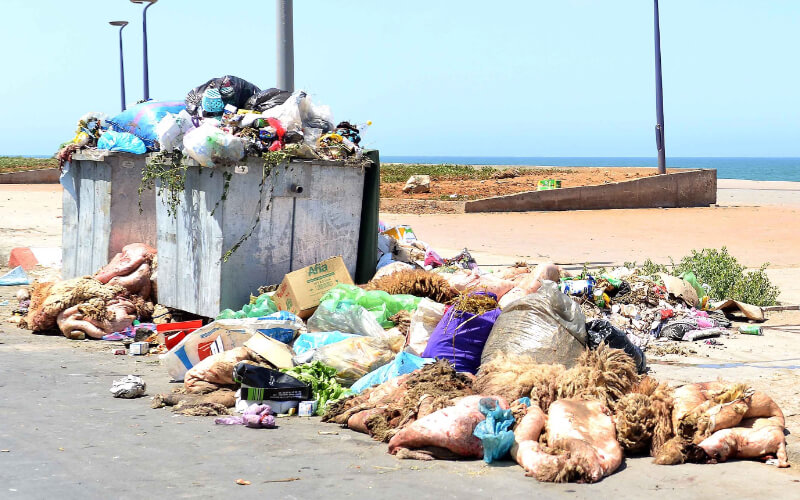 Casablanca Deploys 5,000 Workers for Eid Al-Adha Waste Management
