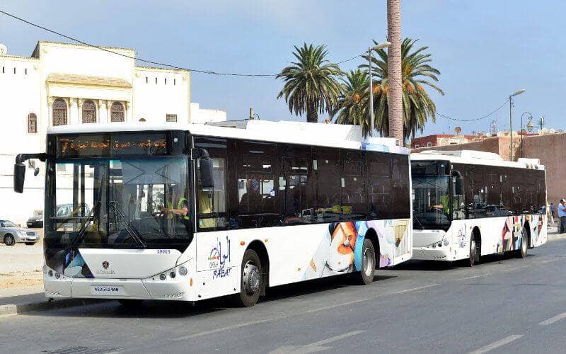 Casablanca Expands Public Transit: 700 New Buses to Improve Urban Mobility by Year-End
