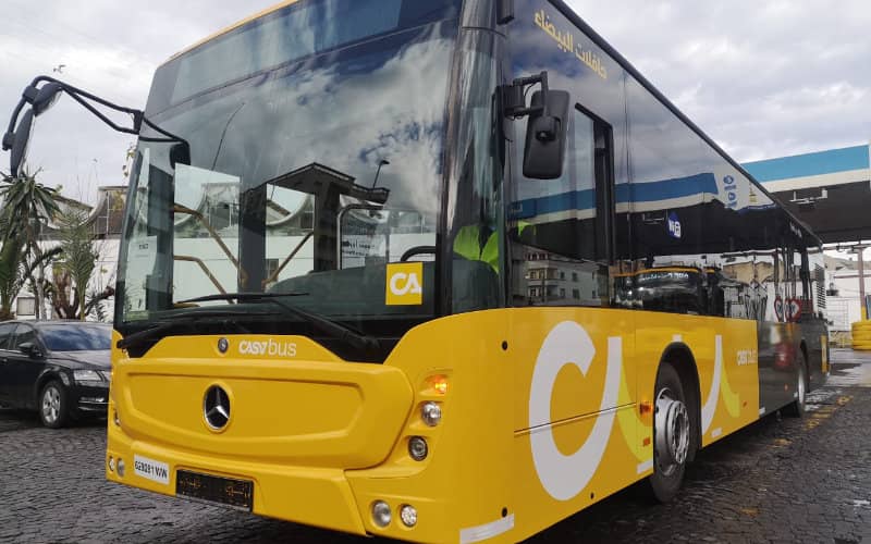Casablanca Explores Free Public Transit for Disabled Residents, Seeks Stakeholder Approval