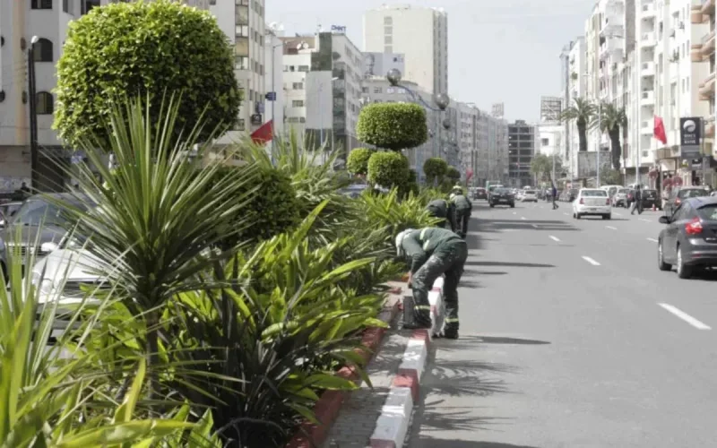 Casablanca: Restaurant Owners Outraged