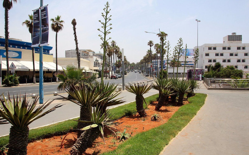 Casablanca to Standardize Cafe and Restaurant Facades Citywide