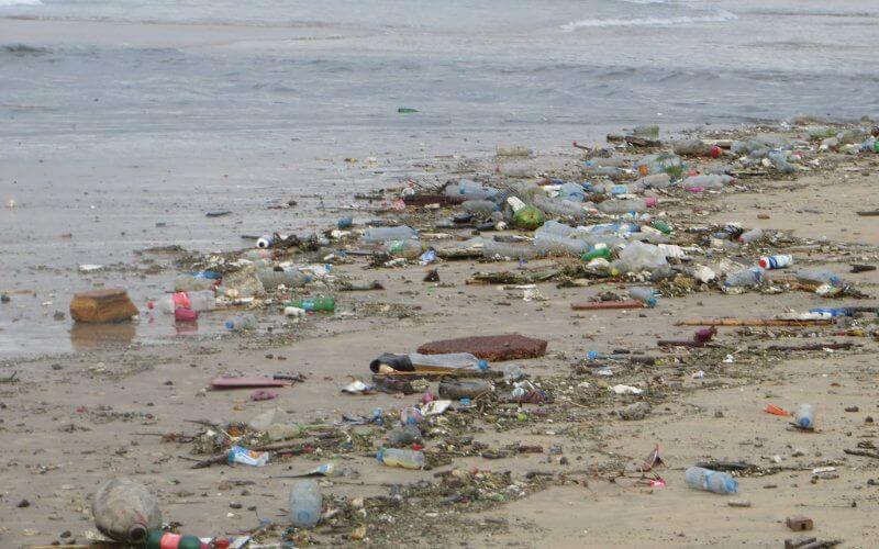 Casablanca's Beaches Face Ecological Crisis as Industrial Waste Pollutes Shoreline