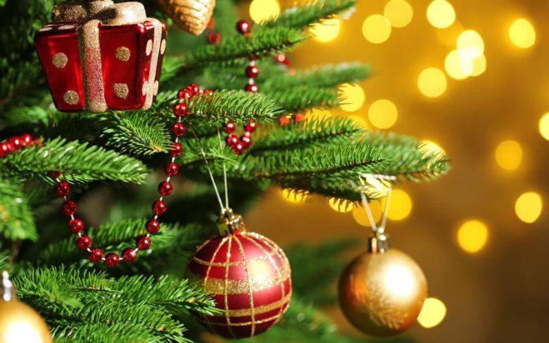 Casablanca's Expansive Christmas Market Draws Major Brands and Festive Attractions