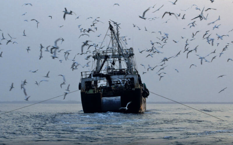 China Expands Fishing Fleet in Moroccan Waters with Three New Vessels