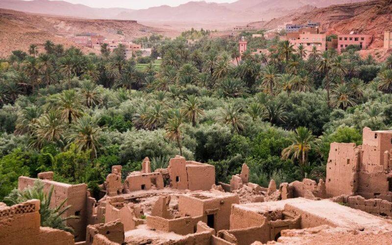 Climate Change Threatens Extinction of Morocco's Ancient Oases, Greenpeace Warns