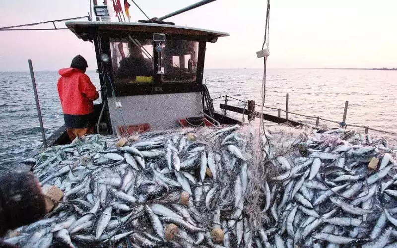 EU Court Annuls Morocco-EU Fisheries Deal Over Western Sahara Dispute