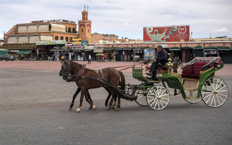 COVID-19 Impacts Summer Travel Plans for 71% of Moroccan Households, Survey Finds