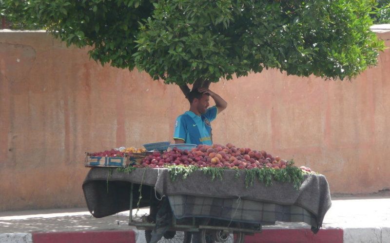 COVID-19 Pandemic Costs Morocco Nearly 600,000 Jobs in Q2 2020