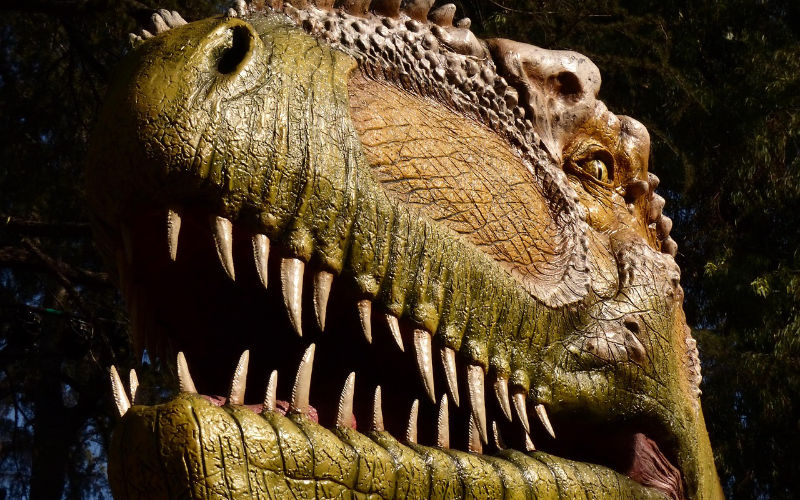 Customs Seize Ancient Dinosaur Teeth at Franco-Italian Border