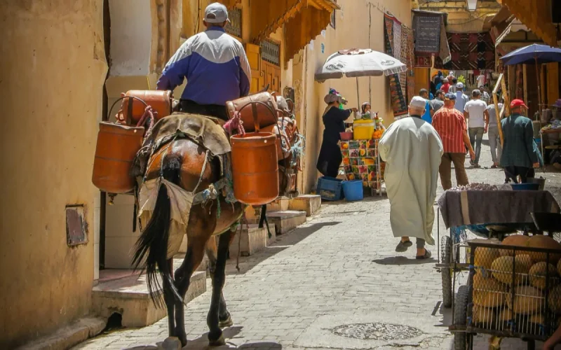 Depression Could Cost Morocco More Than 21 Billion Dollars
