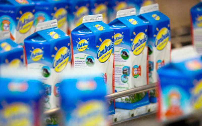 Drought-Driven Milk Shortage Sparks Panic Buying in Morocco