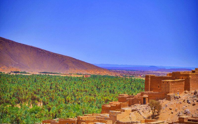 Drought and Fires Threaten Ancient Moroccan Oases, Risking Cultural and Environmental Loss