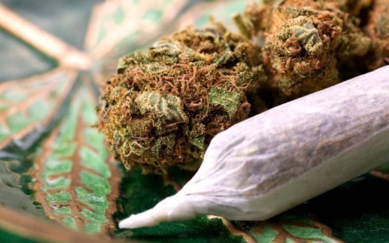 Drug Smugglers Arrested at Toulouse Airport with 680 Grams of Cannabis in Stomachs