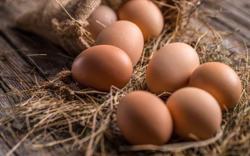 Egg Prices Soar in Morocco's Capital, Sparking Consumer Concerns
