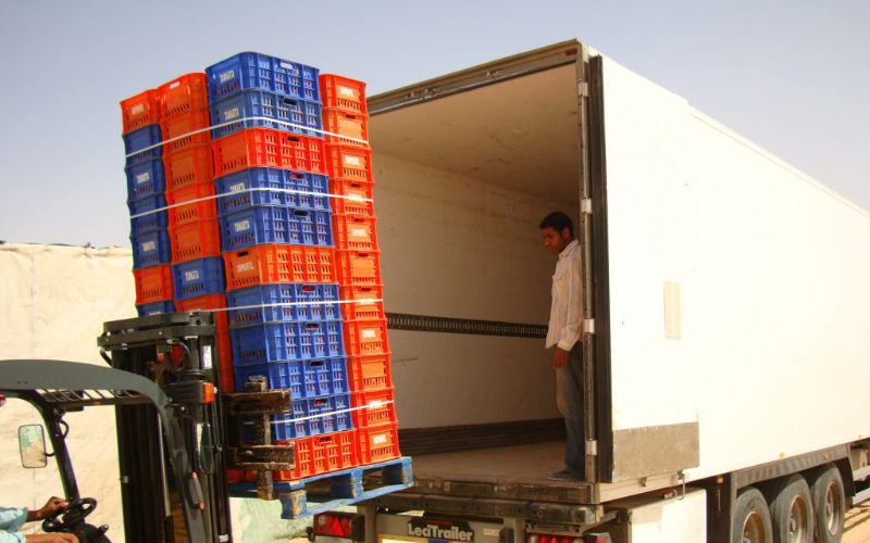 Egypt Halts Food Export Checks to Morocco Amid Customs Delays