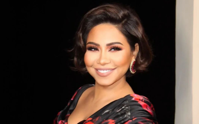 Egyptian Star Sherine Abdel Wahab's Moroccan Song Removed from YouTube Amid Label Dispute