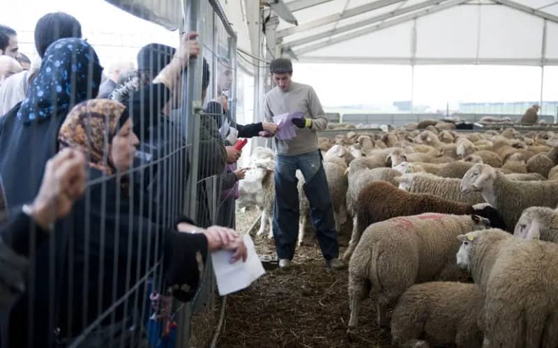 Eid al-Adha Set for July 20 in France, Muslims Urged to Exercise Caution Amid COVID-19