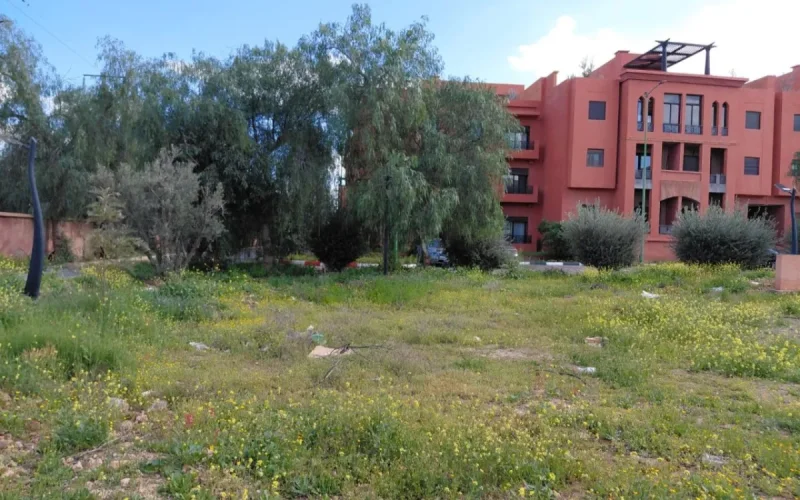 Empty land in Morocco: why you could soon pay between 15 and 30 DH per square meter