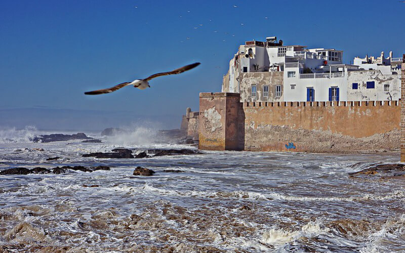 Essaouira: Morocco's Coastal Gem Attracts French Tourists for Yoga and Wellness Getaways