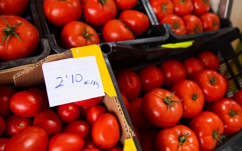 EU-Morocco Deal Sparks Tomato Trade Turmoil, Spanish Farmers Cry Foul