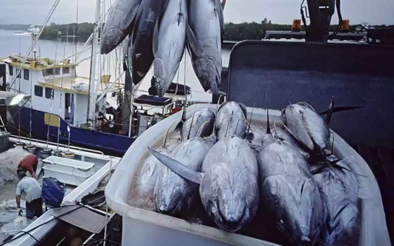 EU-Morocco Fisheries Agreement Set to Expire, Renewal Uncertain