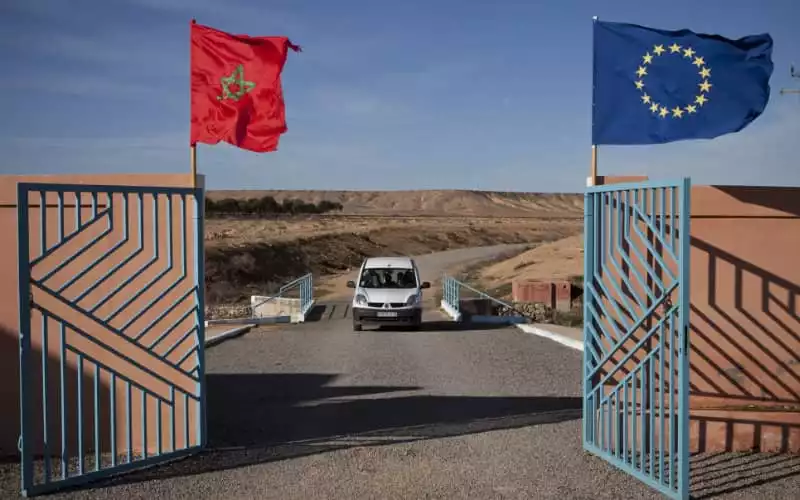 European Farmers Unite to Challenge Moroccan Tomato Imports